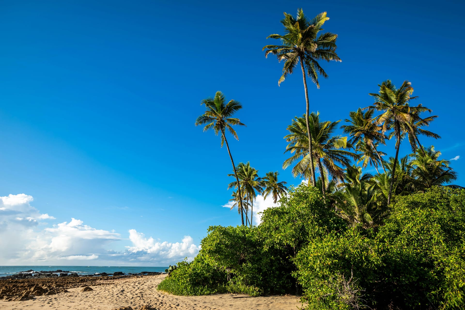Foto de João Pessoa - Brasil