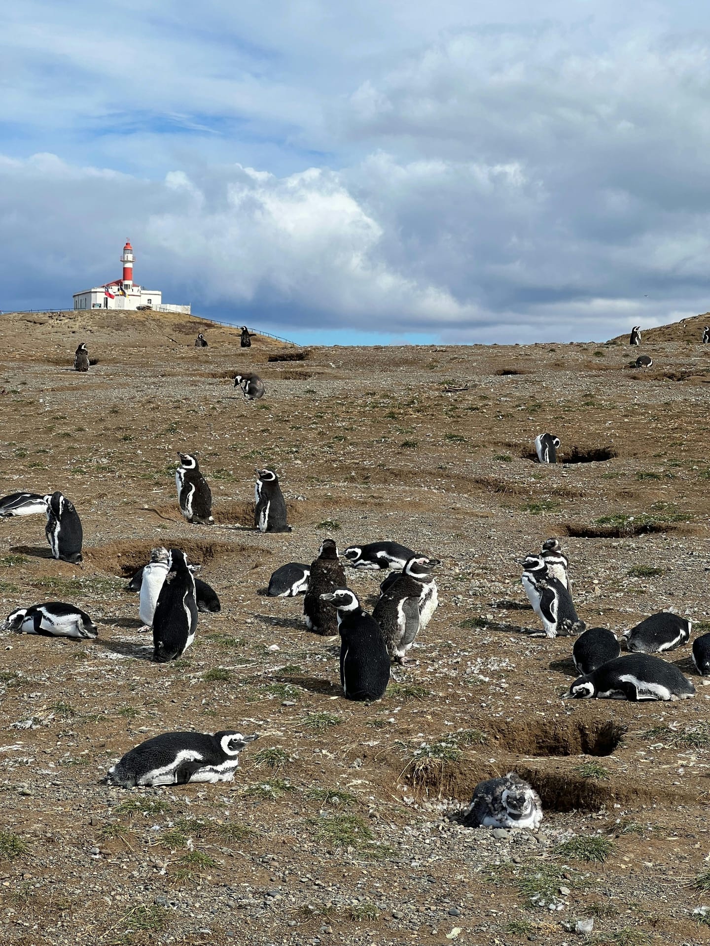 Foto de Punta Arenas - Chile